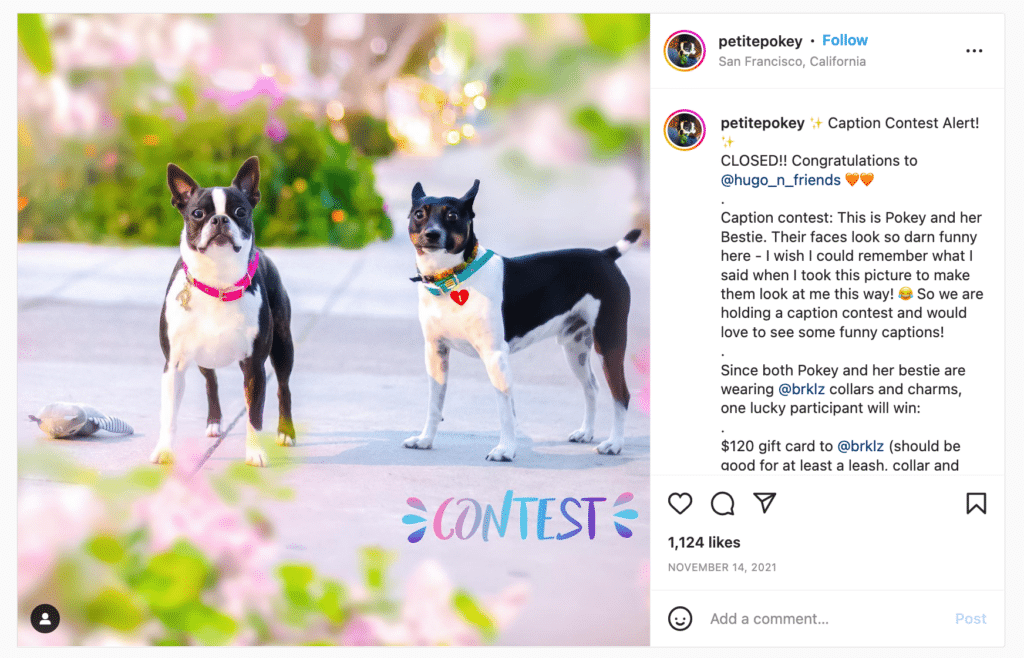 Best photo caption giveaway