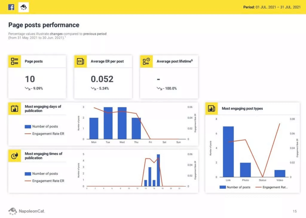 NapoleonCat Analytics Dashboard