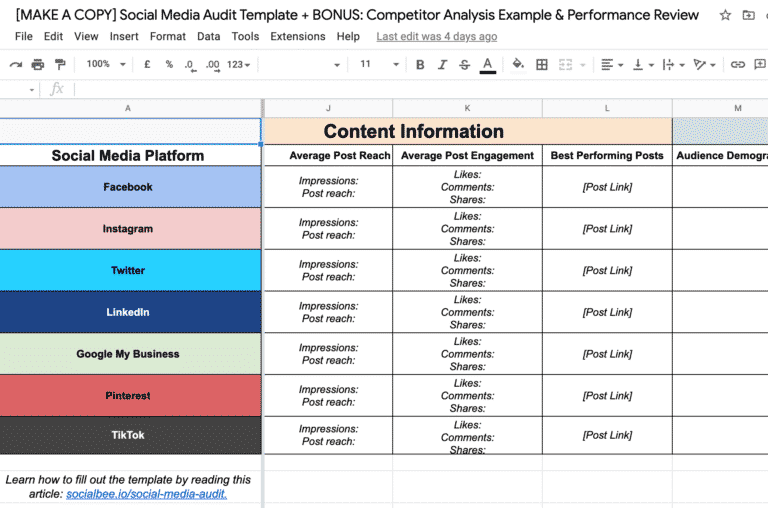 Social Media Audit