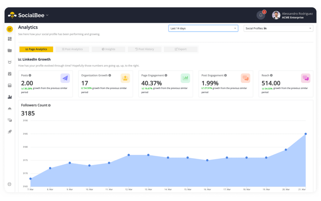 SocialBee page analytics main dashboard